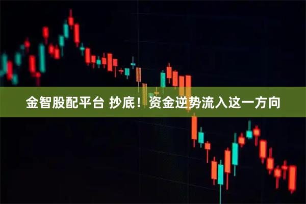 金智股配平台 抄底！资金逆势流入这一方向