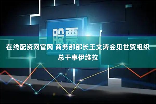 在线配资网官网 商务部部长王文涛会见世贸组织总干事伊维拉