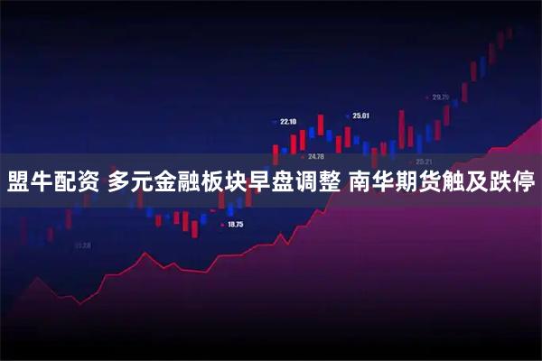 盟牛配资 多元金融板块早盘调整 南华期货触及跌停